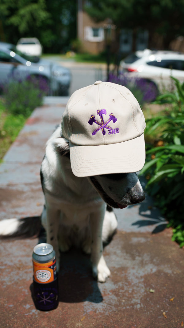School Pride Hat - HB